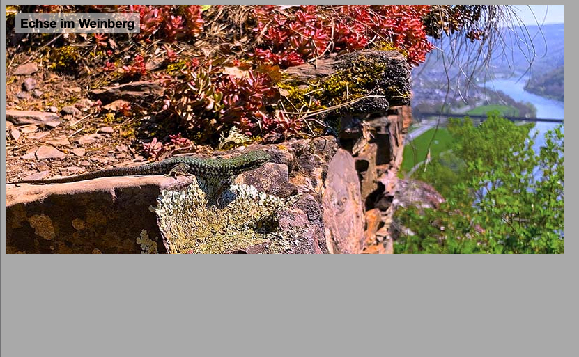 Praktische Anwendung einer überlagerten Ebene