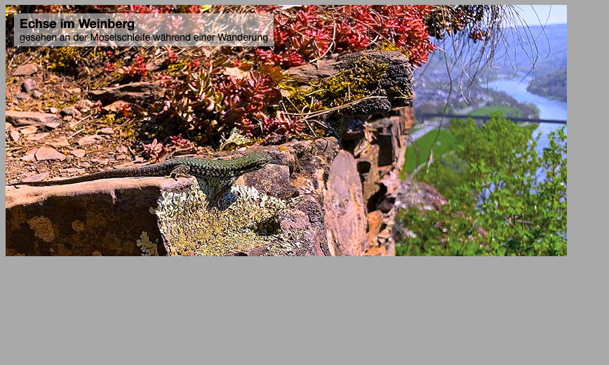 Unterschiedliche Textformatierung innerhalb der Ebene